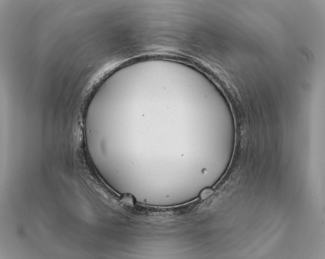 X0000112181363200908281352