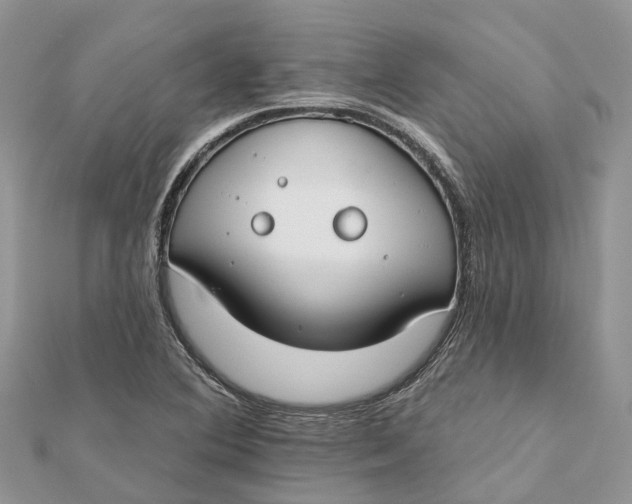 X0000112181364200908281352