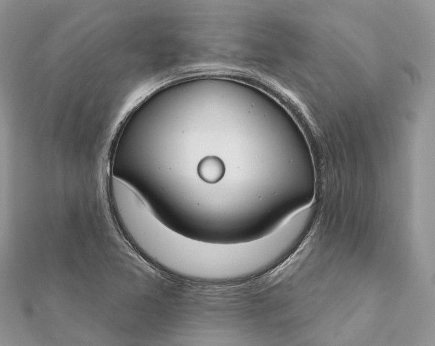 X0000112181365200908281352