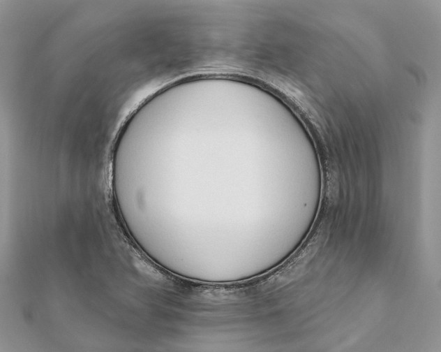 X0000112181366200908281352