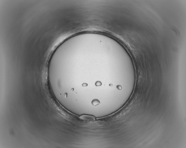 X0000112181367200908281352