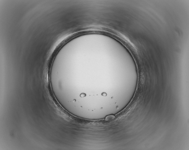 X0000112181368200908281352