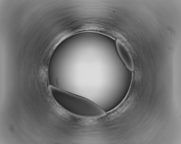 X0000112181369200908281352