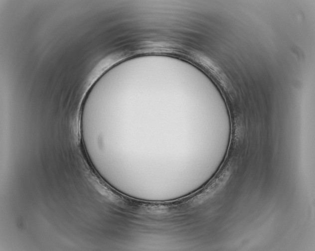 X0000112181370200908281352