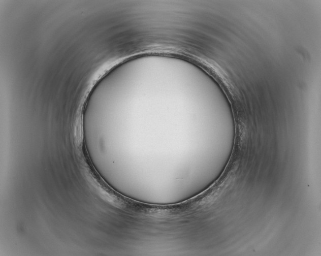 X0000112181371200908281352