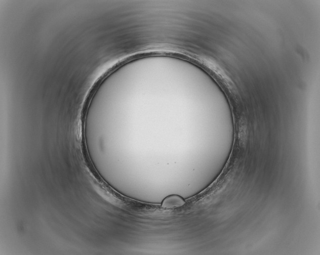 X0000112181372200908281352