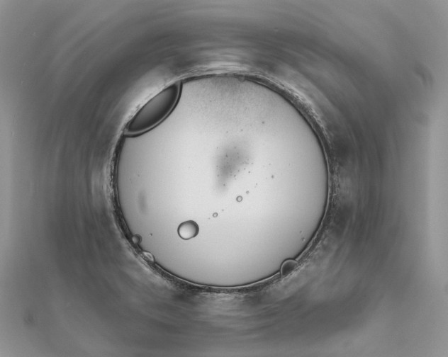 X0000112181373200908281352