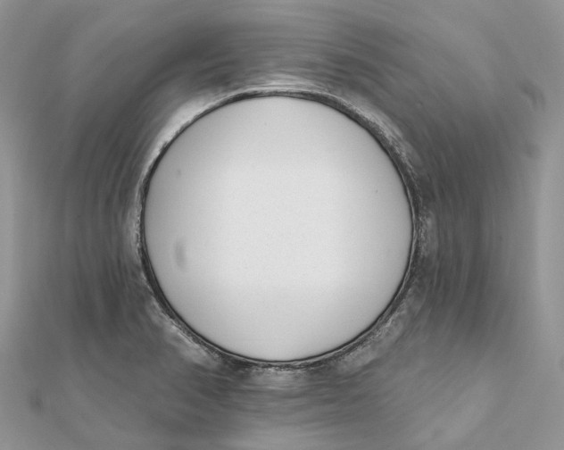 X0000112181374200908281352