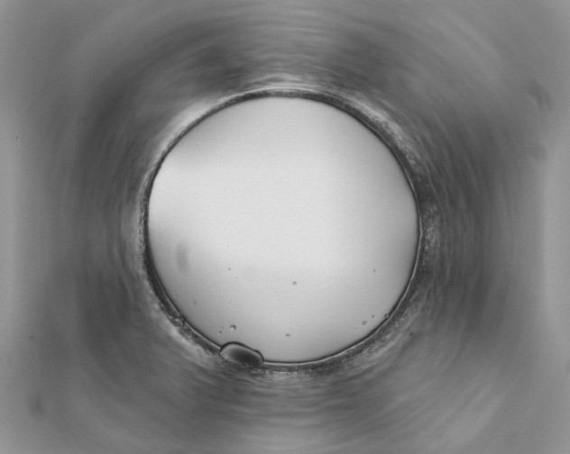 X0000112181375200908281352