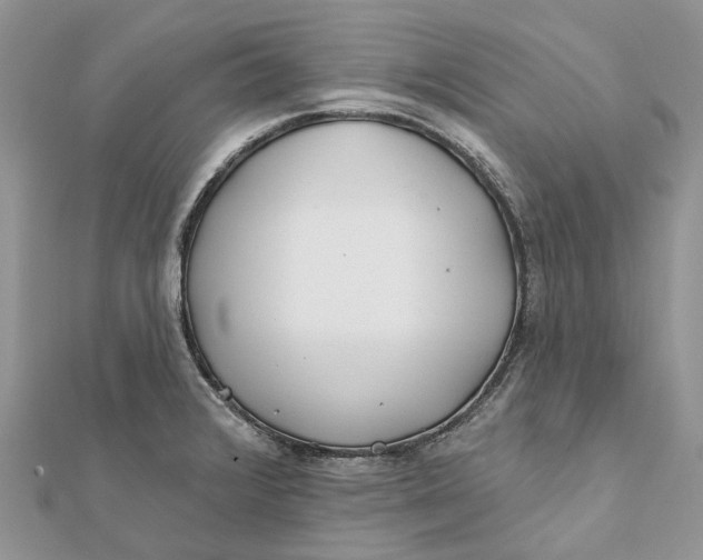 X0000112181376200908281352