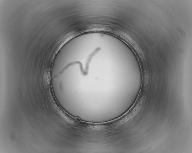 X0000112181377200908281352