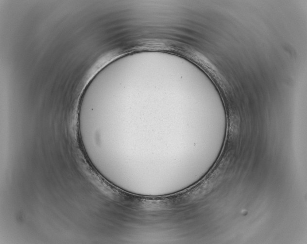 X0000112181378200908281352