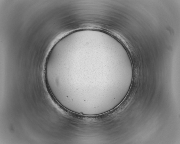 X0000112181379200908281352