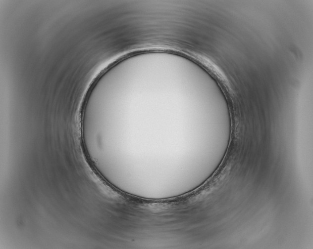 X0000112181380200908281352