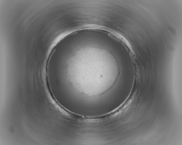 X0000112181381200908281352