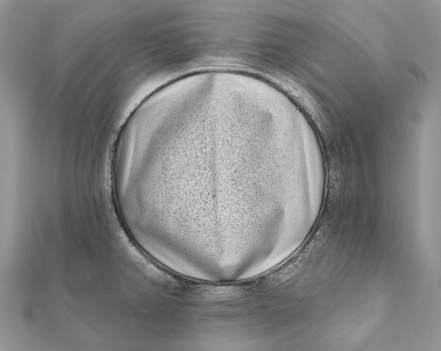 X0000112181382200908281352