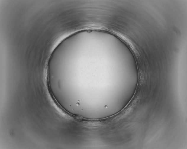 X0000112181383200908281352