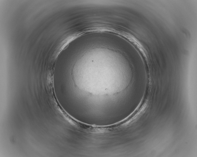 X0000112181385200908281352