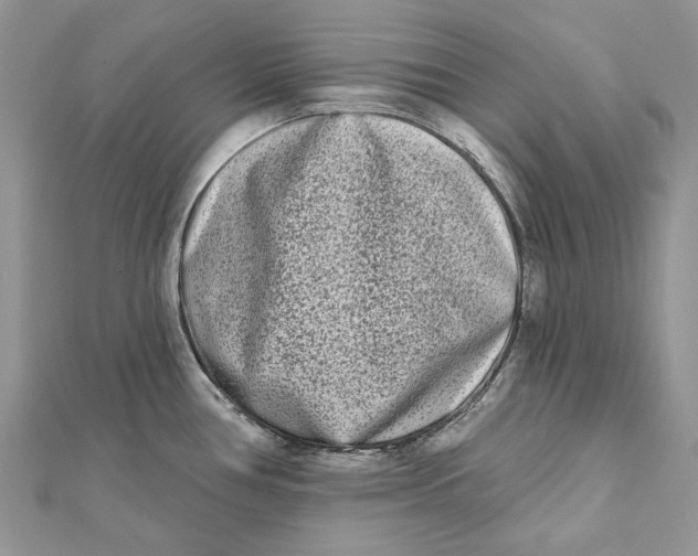 X0000112181386200908281352