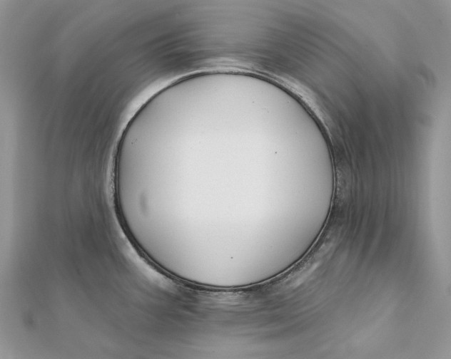 X0000112181387200908281352