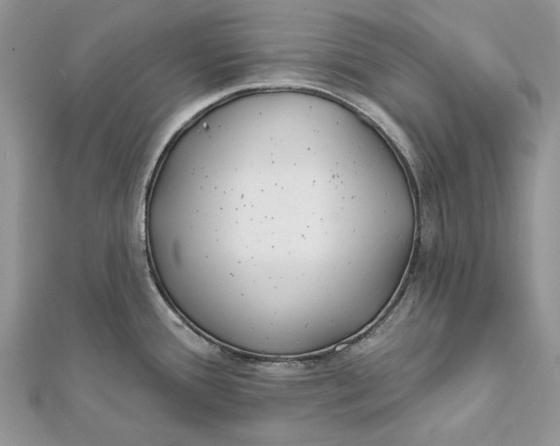 X0000112181388200908281352