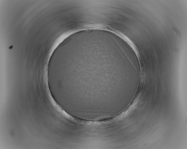 X0000112181389200908281352