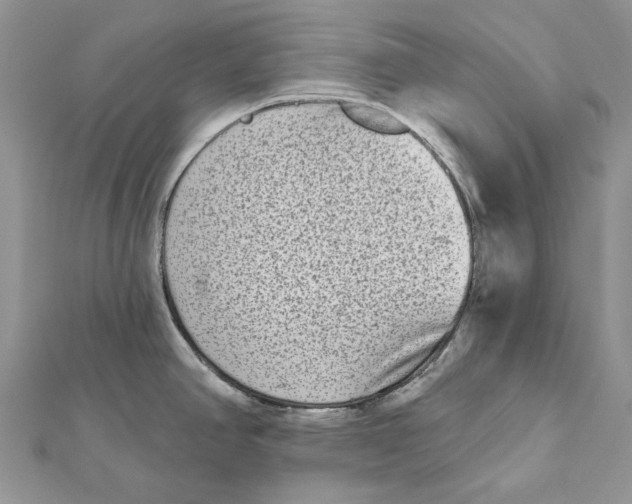 X0000112181390200908281352