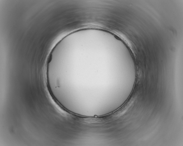 X0000112181391200908281352