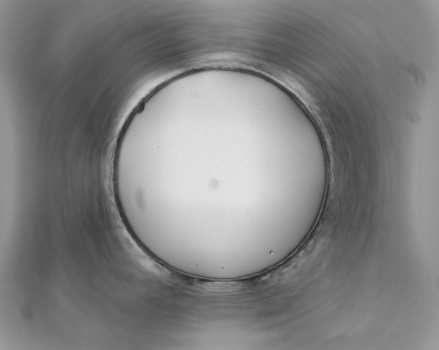 X0000112181392200908281352