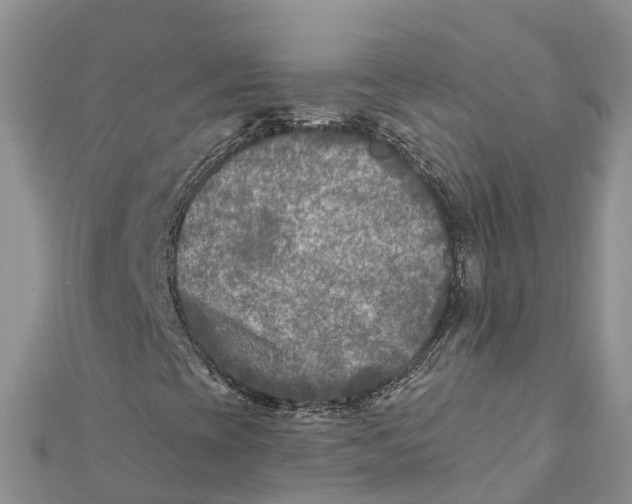 X0000112181393200908281351