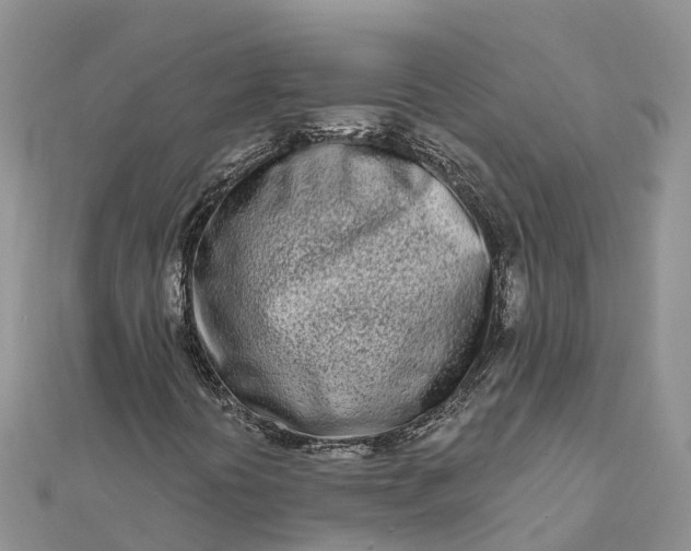 X0000112181394200908281351