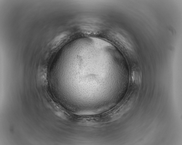 X0000112181396200908281351