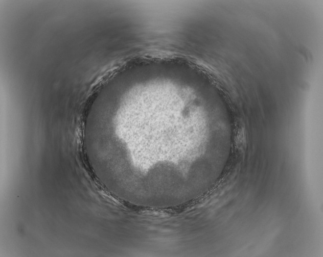 X0000112181397200908281351