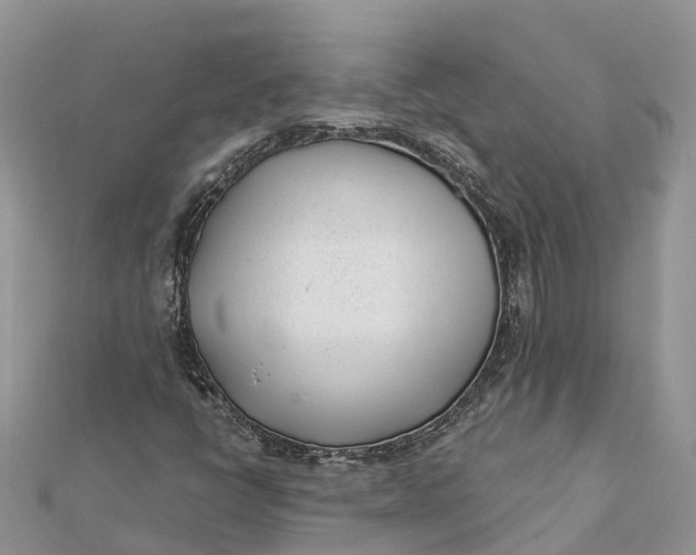 X0000112181398200908281351