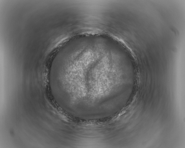 X0000112181399200908281351