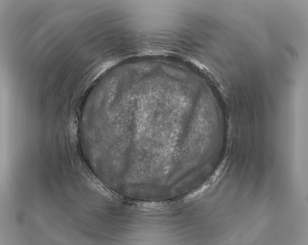 X0000112181401200908281351