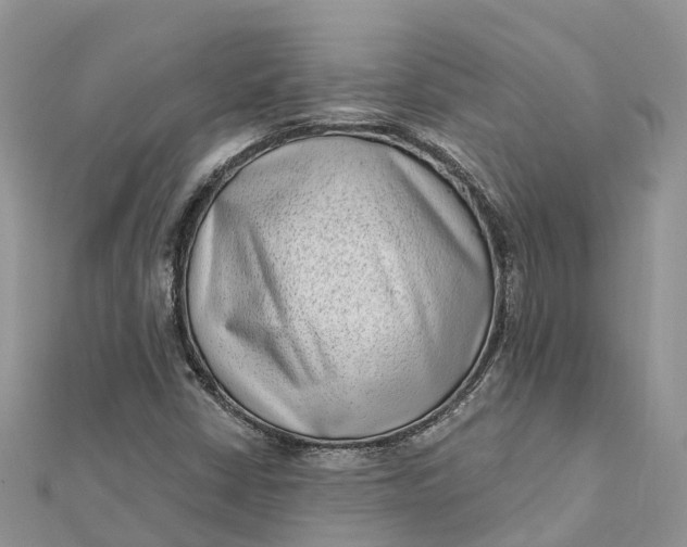 X0000112181402200908281351