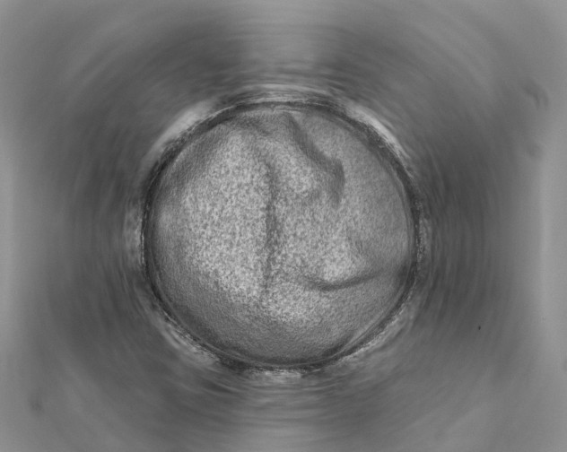 X0000112181403200908281351