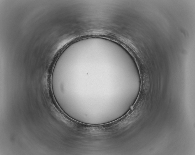 X0000112181404200908281351