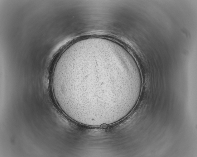 X0000112181406200908281351