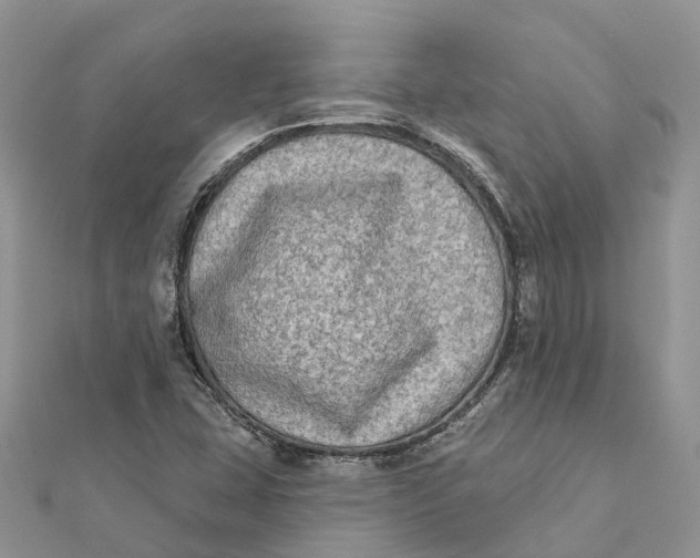 X0000112181407200908281351