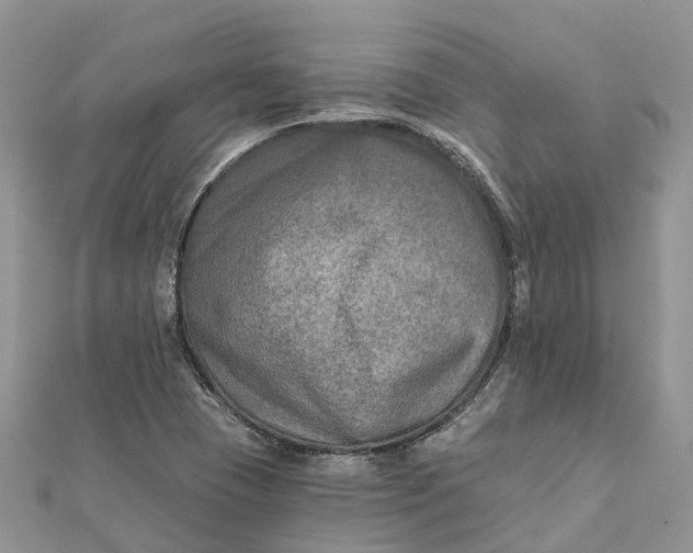 X0000112181409200908281351