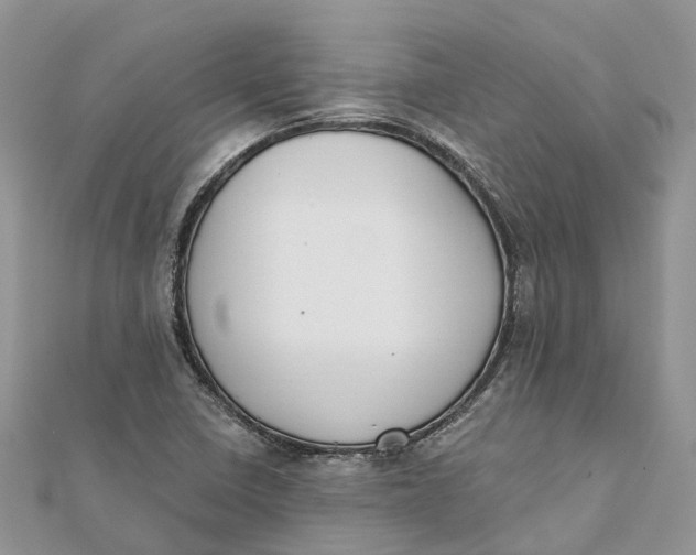 X0000112181410200908281351