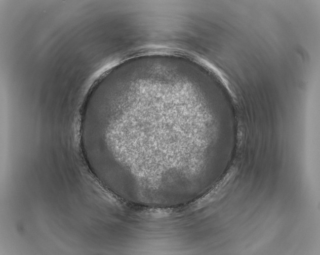 X0000112181411200908281351