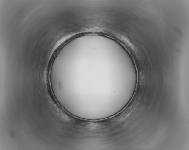 X0000112181412200908281351