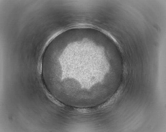 X0000112181413200908281351