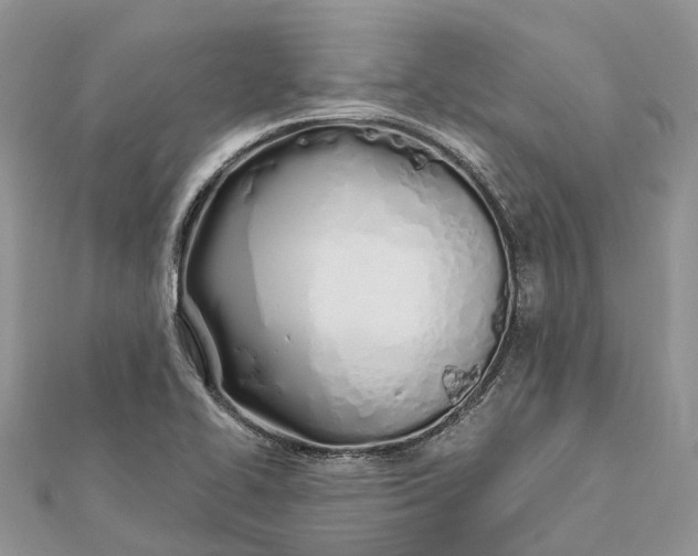 X0000112181414200908281351