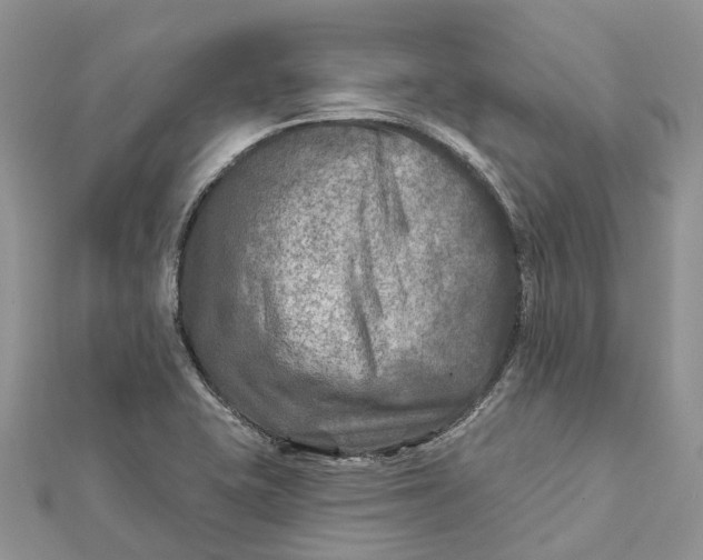 X0000112181415200908281351