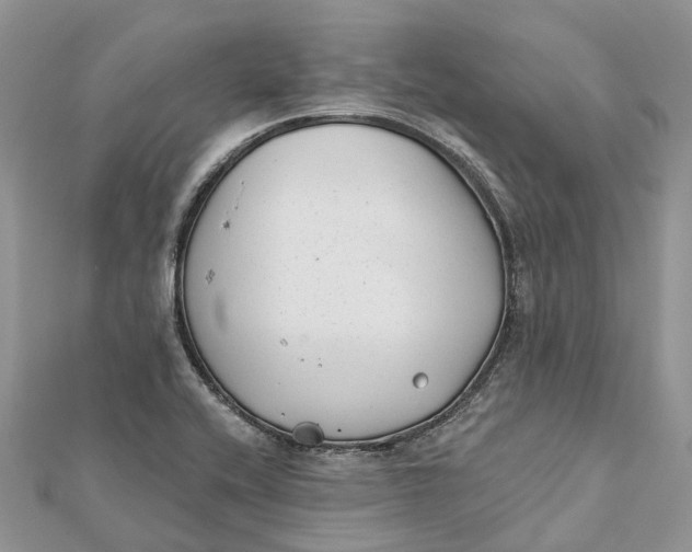 X0000112181416200908281351