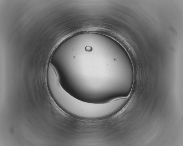 X0000112181417200908281351